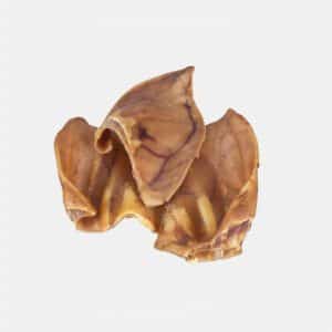 Pigs Ear