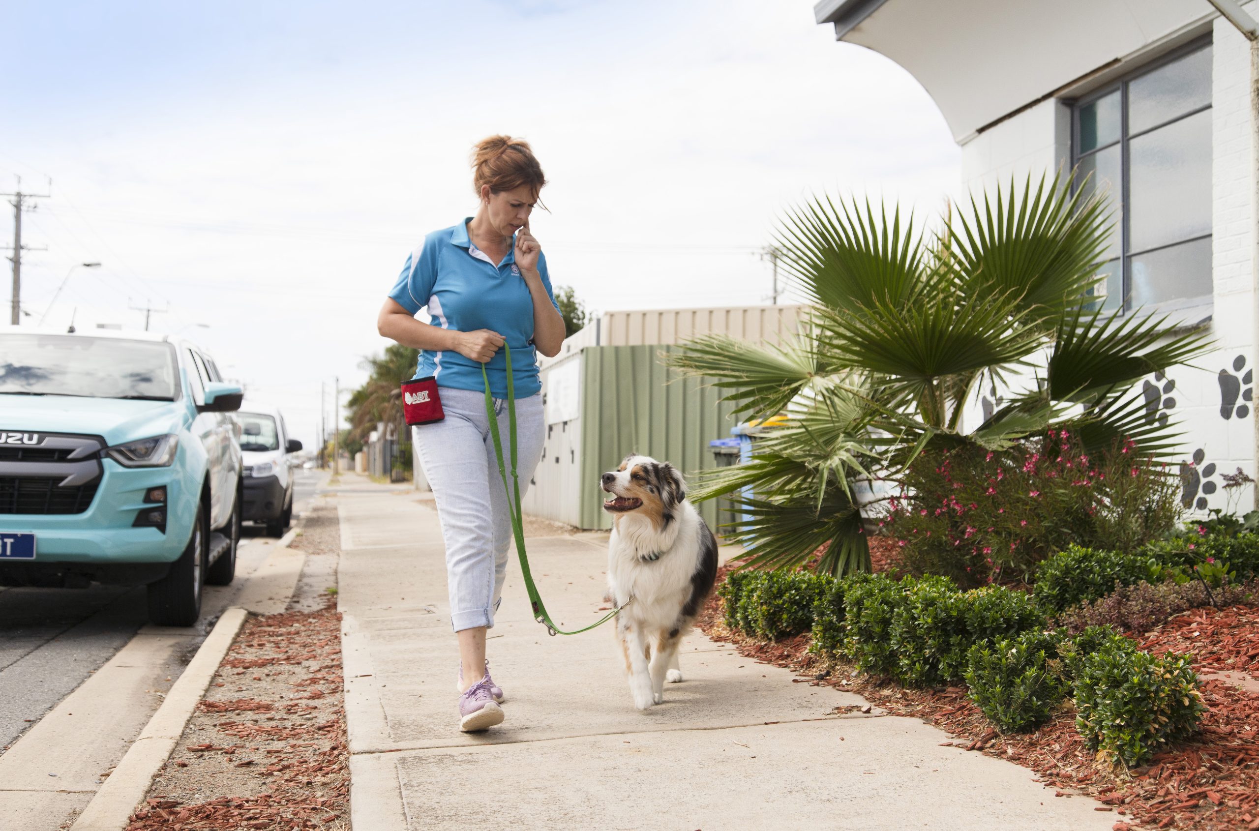 Dog Training Academy