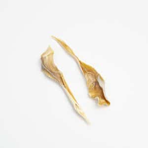 Shark Cartilage