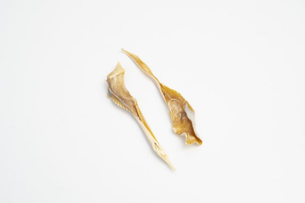 Shark Cartilage