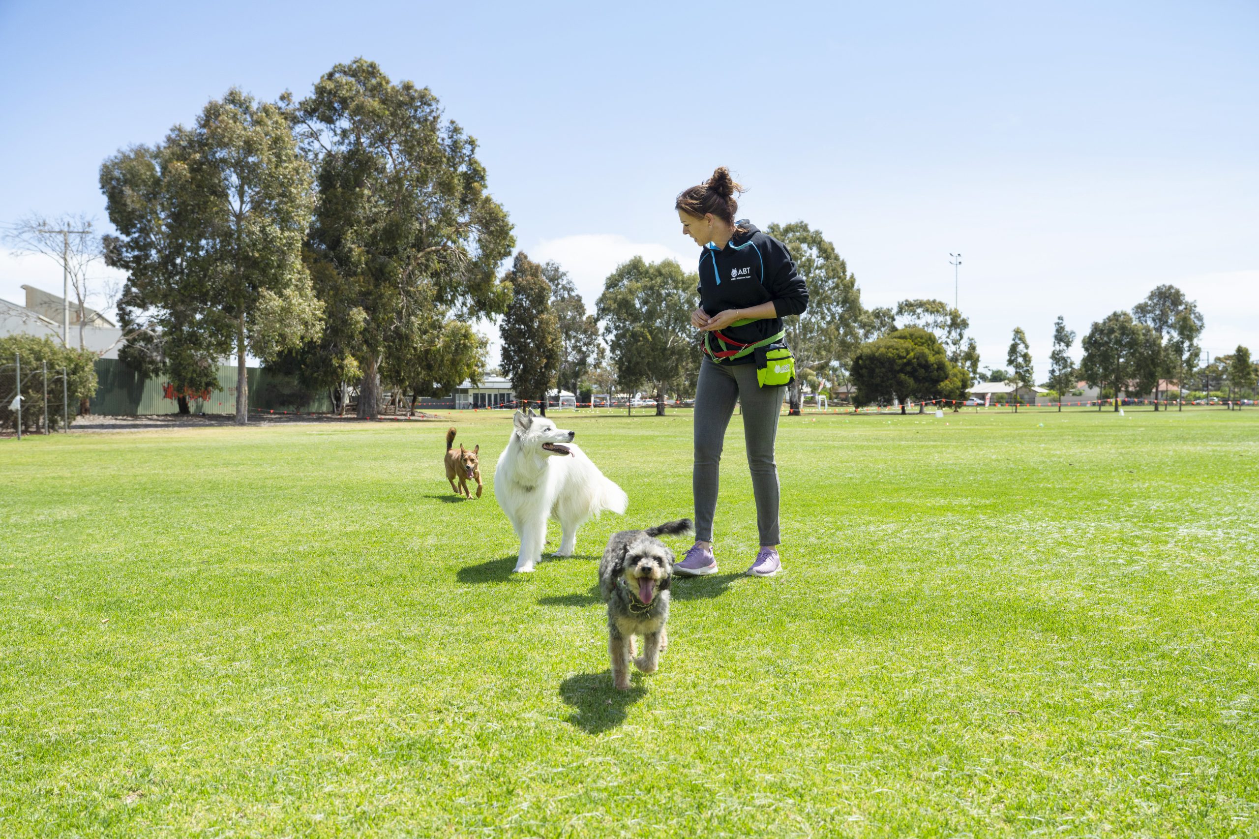 dog park