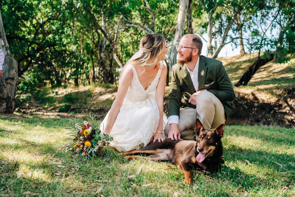Wedding dog chaperone